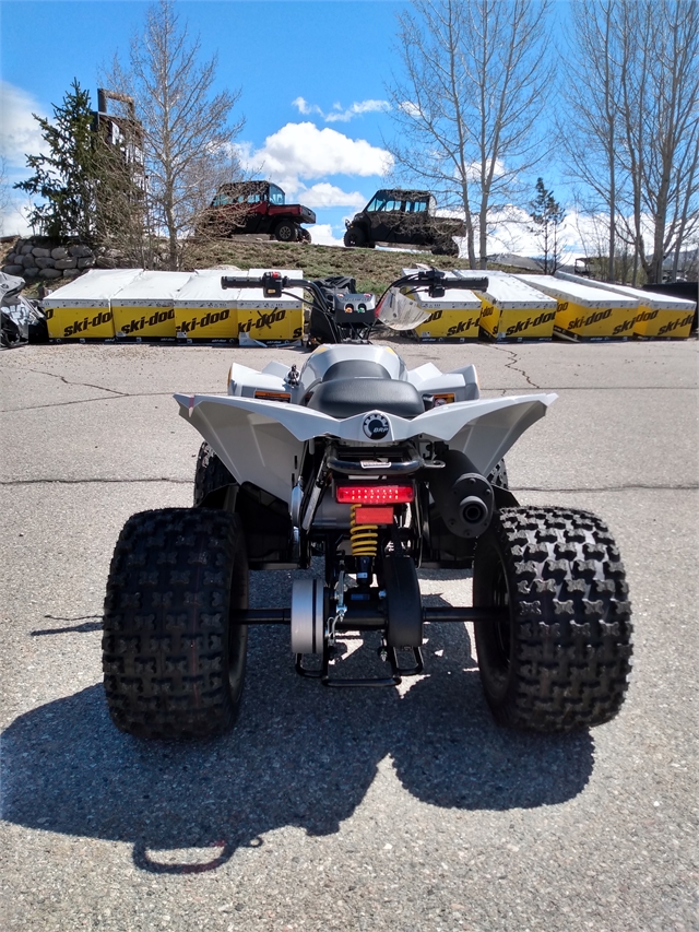 2024 Can-Am Renegade 110 EFI at Power World Sports, Granby, CO 80446