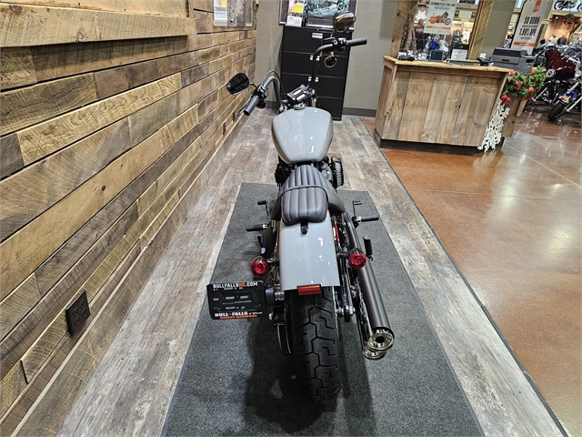 2024 Harley-Davidson Softail Street Bob 114 at Bull Falls Harley-Davidson