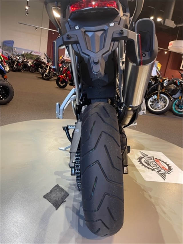 2023 Triumph Tiger 900 Rally Pro at Martin Moto