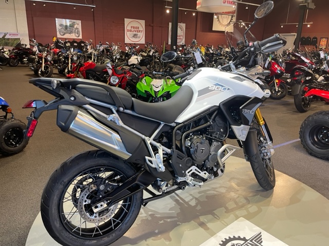 2023 Triumph Tiger 900 Rally Pro at Martin Moto