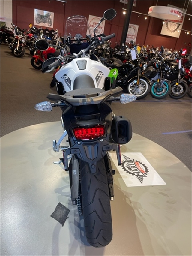 2023 Triumph Tiger 900 Rally Pro at Martin Moto