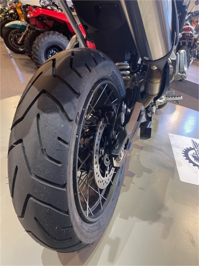 2023 Triumph Tiger 900 Rally Pro at Martin Moto