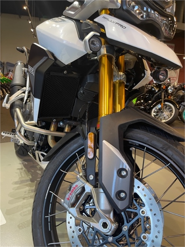 2023 Triumph Tiger 900 Rally Pro at Martin Moto