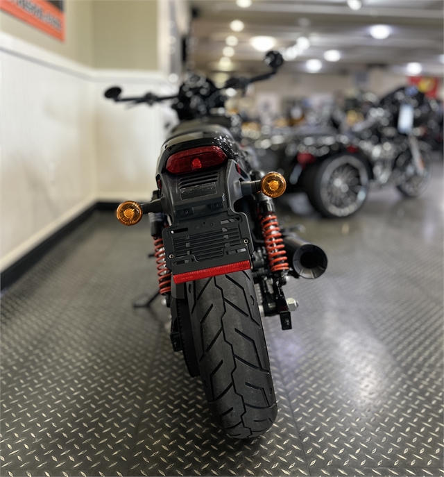 2019 Harley-Davidson Street Rod at Gasoline Alley Harley-Davidson