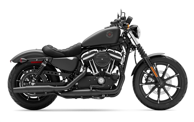 2022 Harley-Davidson Sportster Iron 883 at Gasoline Alley Harley-Davidson