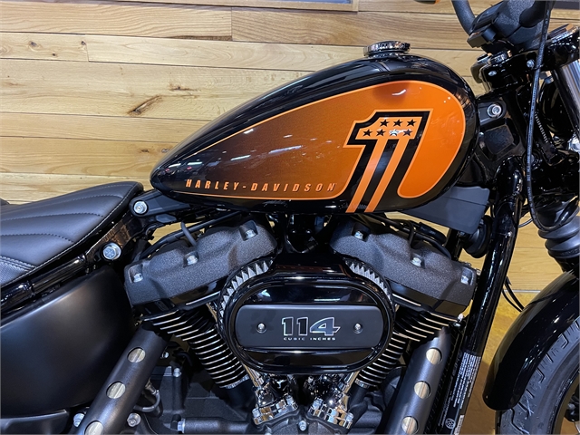 2023 Harley-Davidson Softail Street Bob 114 at Thunder Road Harley-Davidson