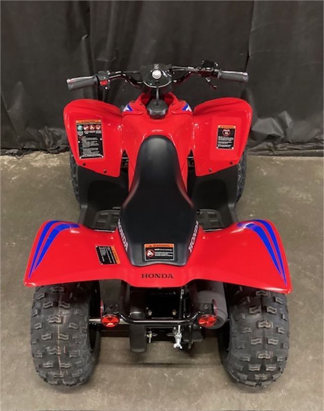 2024 Honda TRX 90X at Powersports St. Augustine