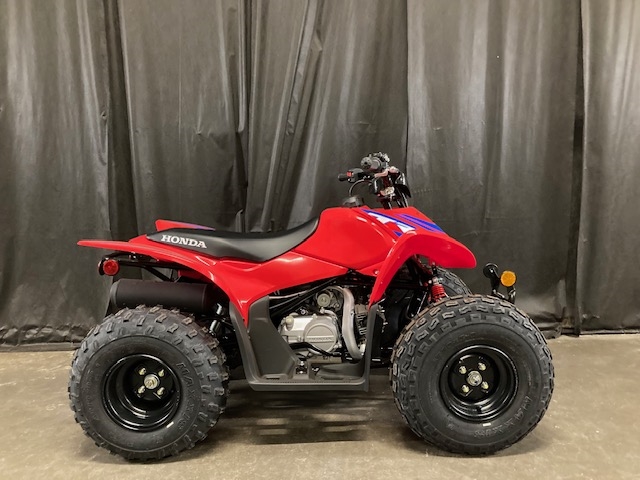 2024 Honda TRX 90X at Powersports St. Augustine