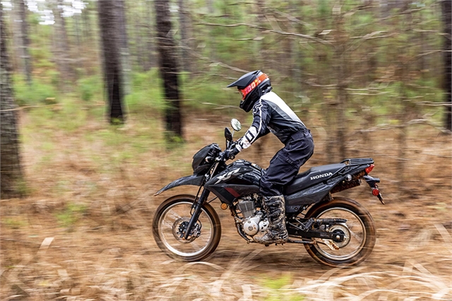 2025 Honda XR 150L at Wise Honda