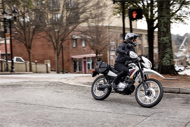 2025 Honda XR 150L at Wise Honda