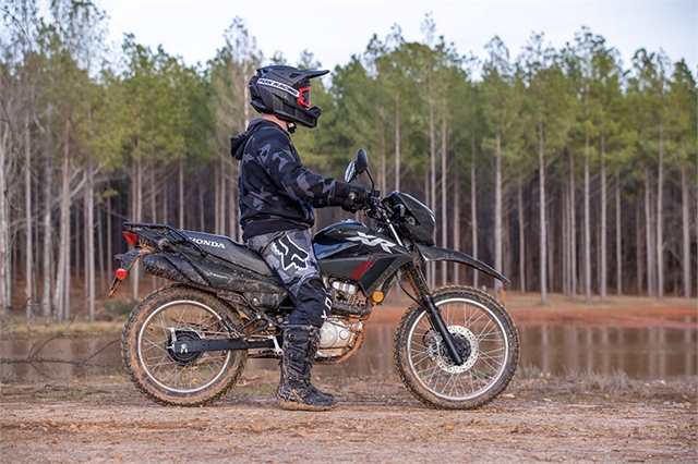 2025 Honda XR 150L at Wise Honda