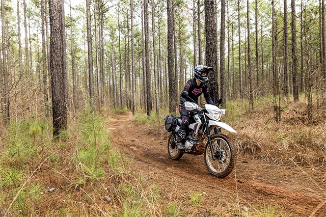 2025 Honda XR 150L at Wise Honda