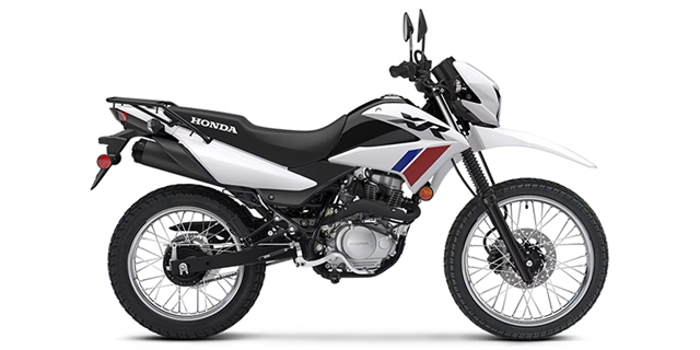 2025 Honda XR 150L at Wise Honda