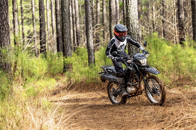 2025 Honda XR 150L at Wise Honda