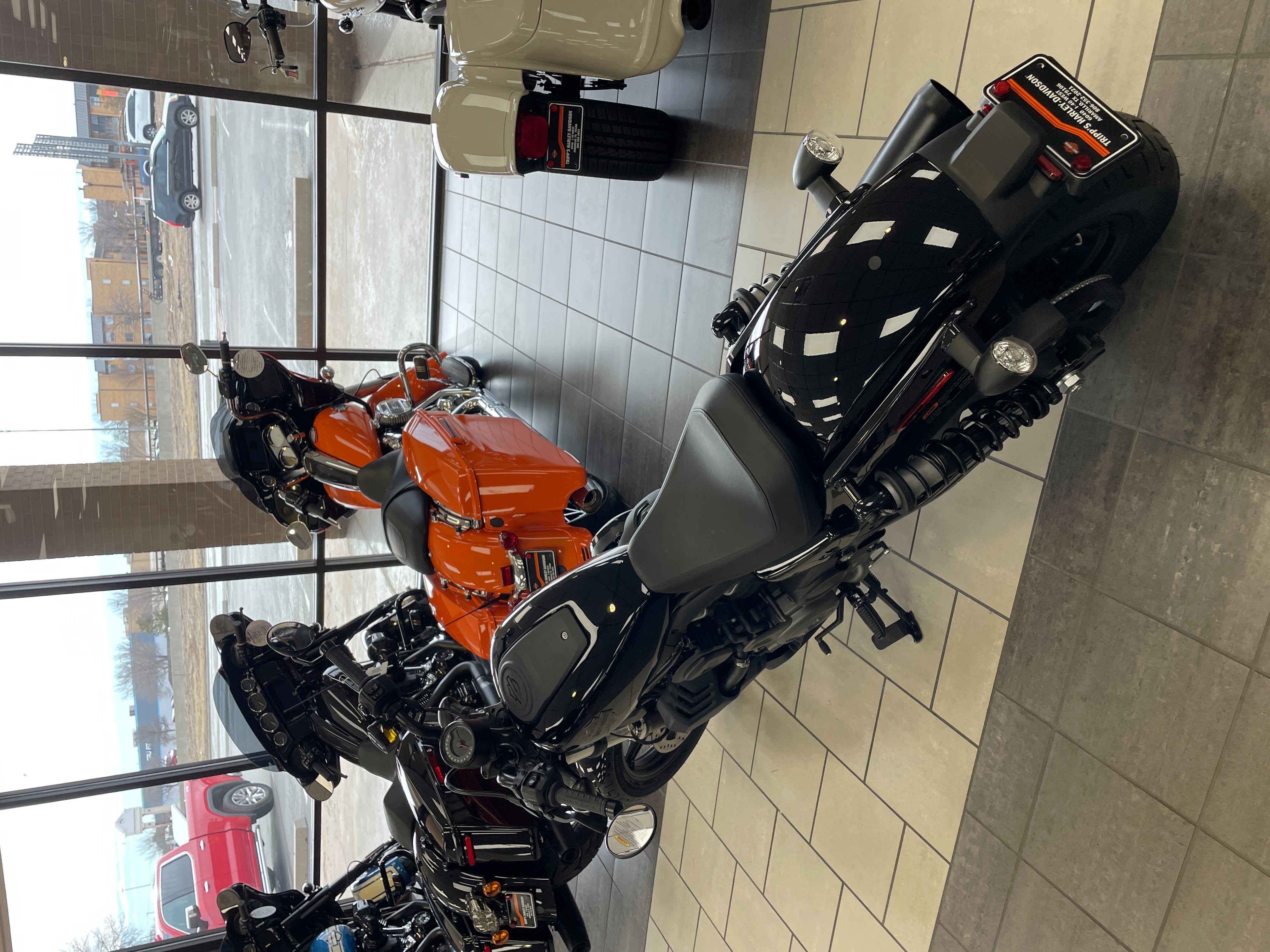 2024 Harley-Davidson Sportster Nightster at Tripp's Harley-Davidson