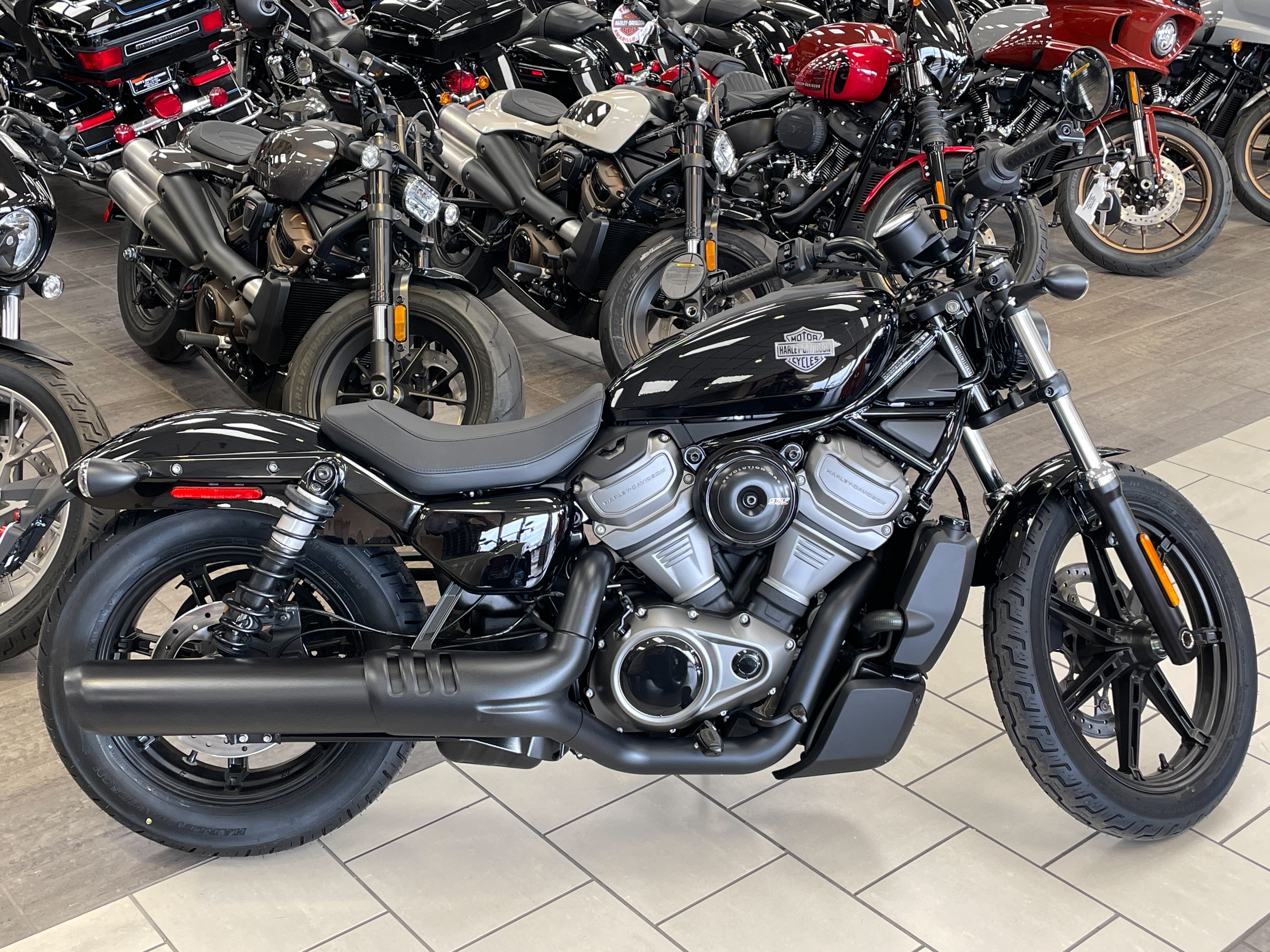 2024 Harley-Davidson Sportster Nightster at Tripp's Harley-Davidson