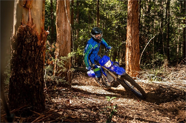 2021 Yamaha WR 250FM at Teddy Morse Grand Junction Powersports