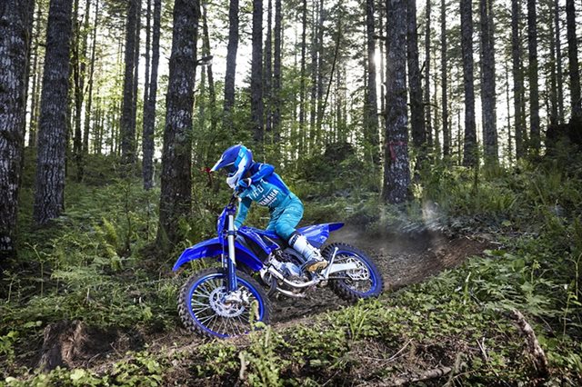 2024 Yamaha YZ 125X at Arkport Cycles