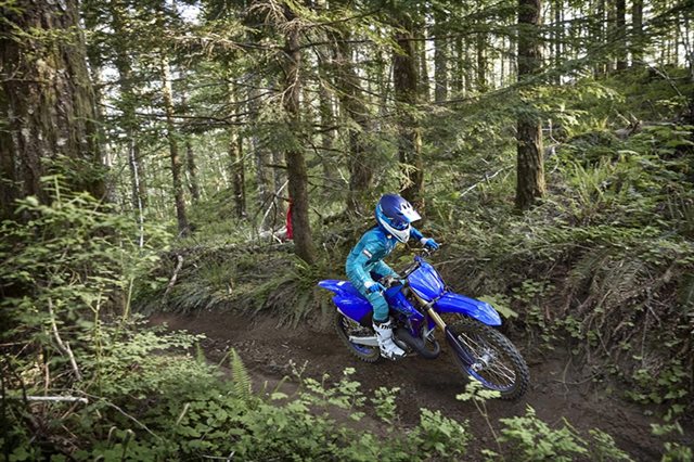 2024 Yamaha YZ 125X at Arkport Cycles