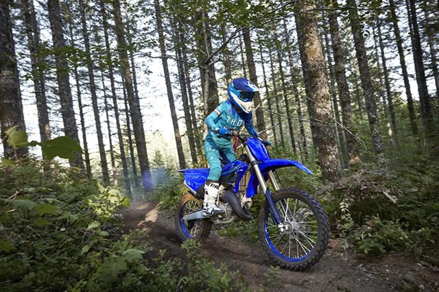 2024 Yamaha YZ 125X at Arkport Cycles