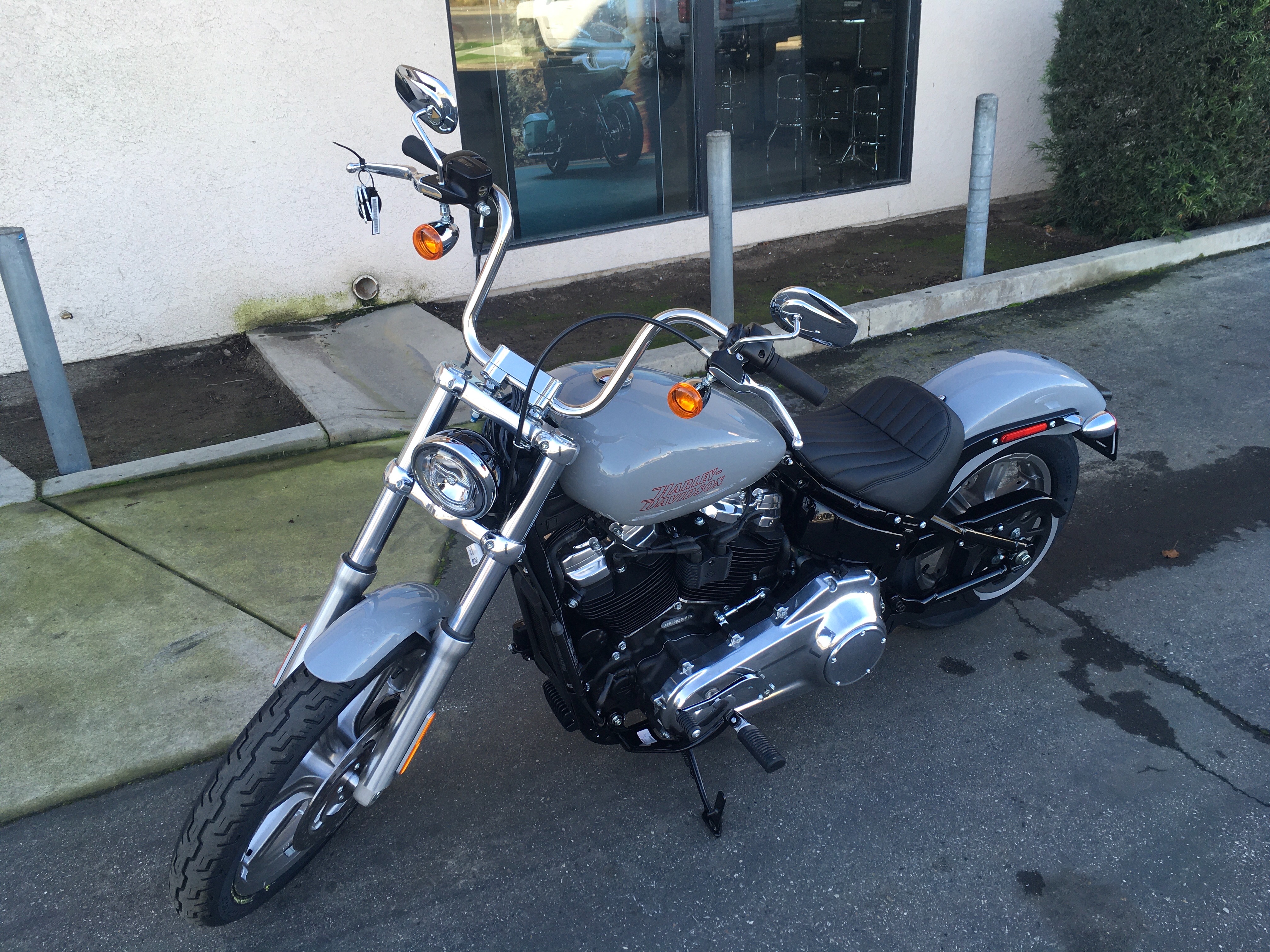 2024 Harley-Davidson Softail Standard at Fresno Harley-Davidson