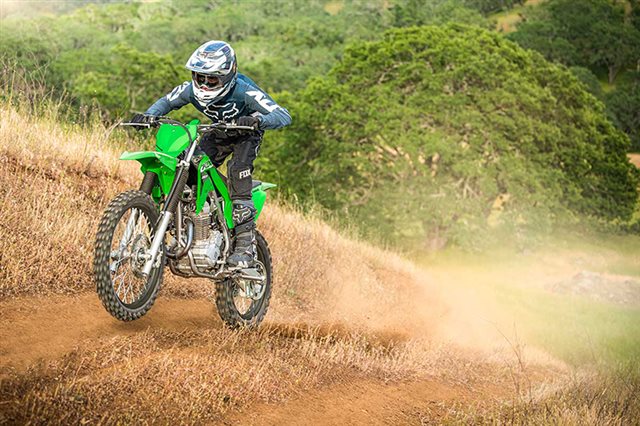 2024 Kawasaki KLX 230R at Ehlerding Motorsports