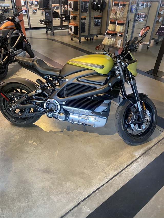 2020 HARLEY DAVIDSON ELW at Outpost Harley-Davidson