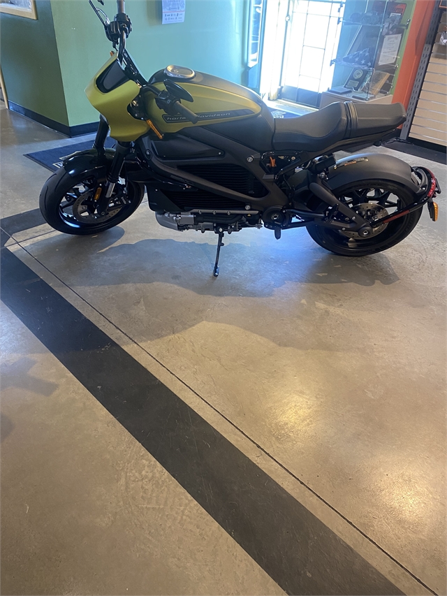 2020 HARLEY DAVIDSON ELW at Outpost Harley-Davidson