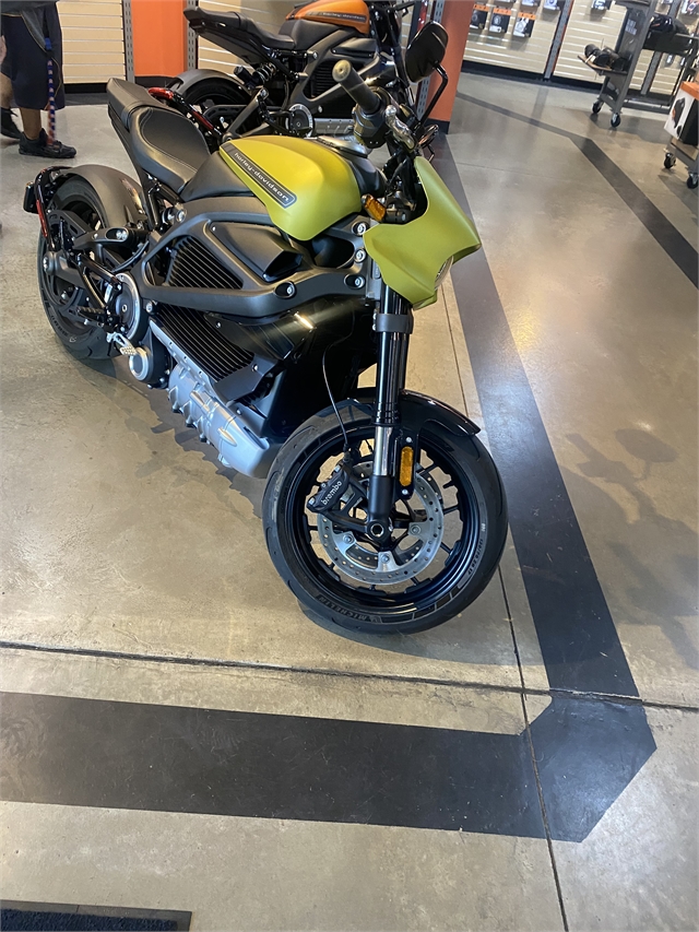 2020 HARLEY DAVIDSON ELW at Outpost Harley-Davidson