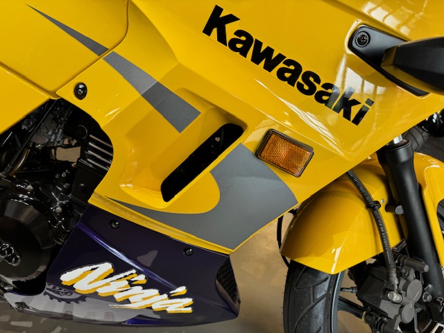 2002 Kawasaki Ninja 250R at Martin Moto