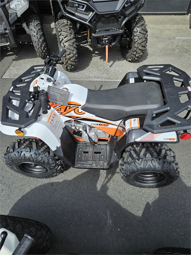 2023 Kayo Bull 125 at Guy's Outdoor Motorsports & Marine