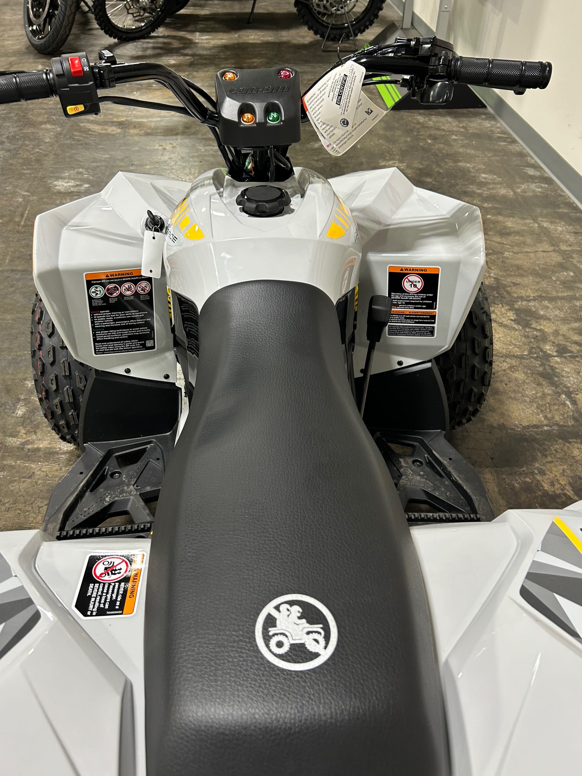 2024 Can-Am Renegade 110 EFI at Wood Powersports Harrison