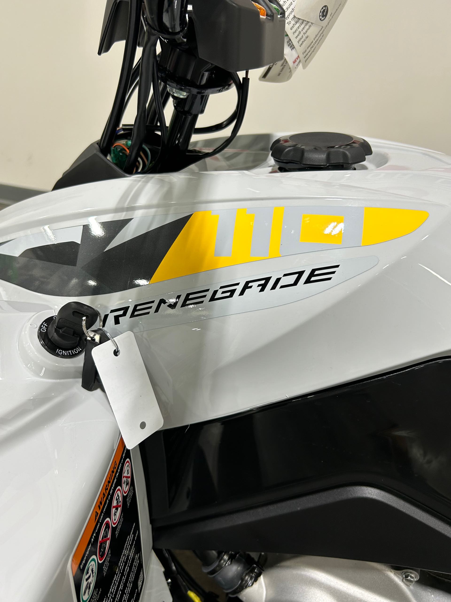 2024 Can-Am Renegade 110 EFI at Wood Powersports Harrison