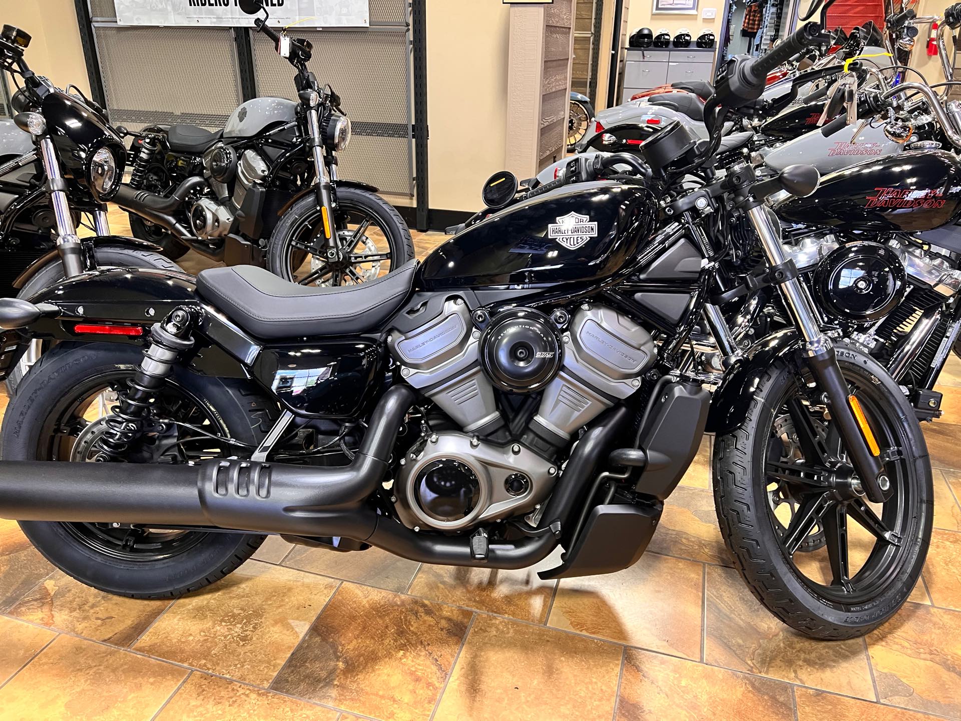 2024 Harley-Davidson Sportster Nightster at Man O'War Harley-Davidson®