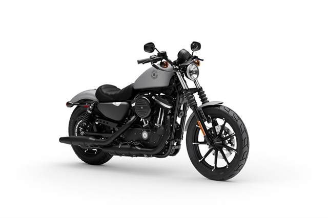 2020 Harley-Davidson Sportster Iron 883 | Zips 45th ...