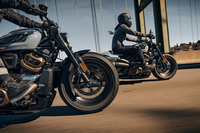 2024 Harley-Davidson Sportster at Palm Springs Harley-Davidson®