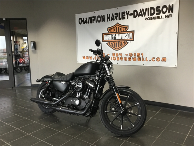 2021 Harley-Davidson Cruiser XL 883N Iron 883 at Champion Harley-Davidson
