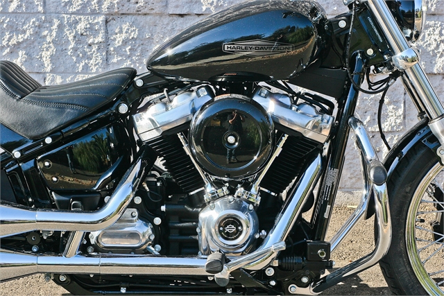 2021 Harley-Davidson Cruiser Softail Standard at Ventura Harley-Davidson