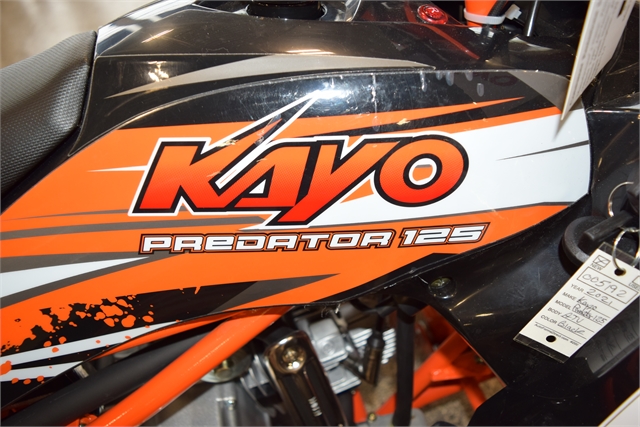 2022 Kayo 125 Predator 125 Predator at Motoprimo Motorsports