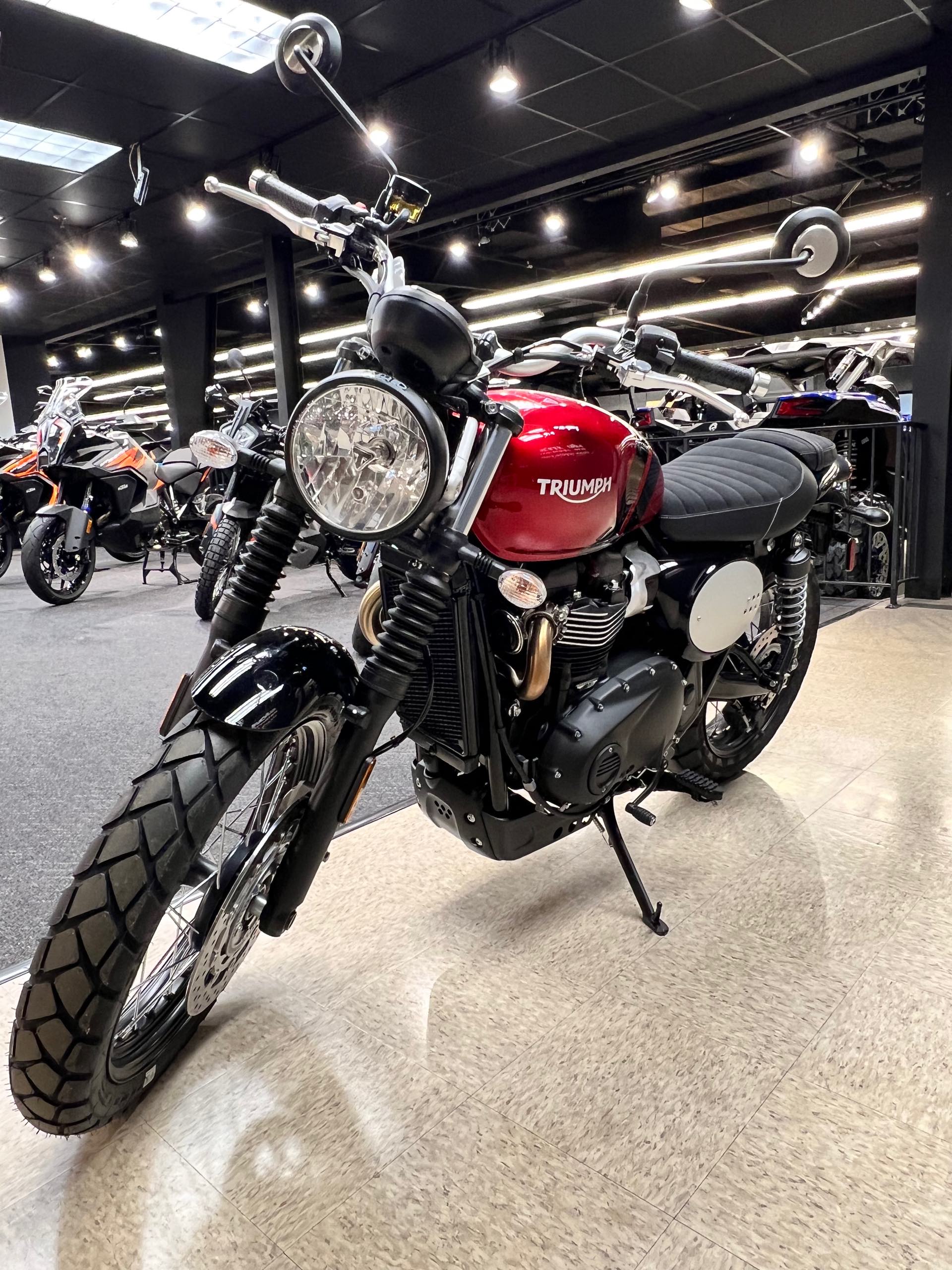 2023 Triumph Scrambler 900 Base at Sloans Motorcycle ATV, Murfreesboro, TN, 37129