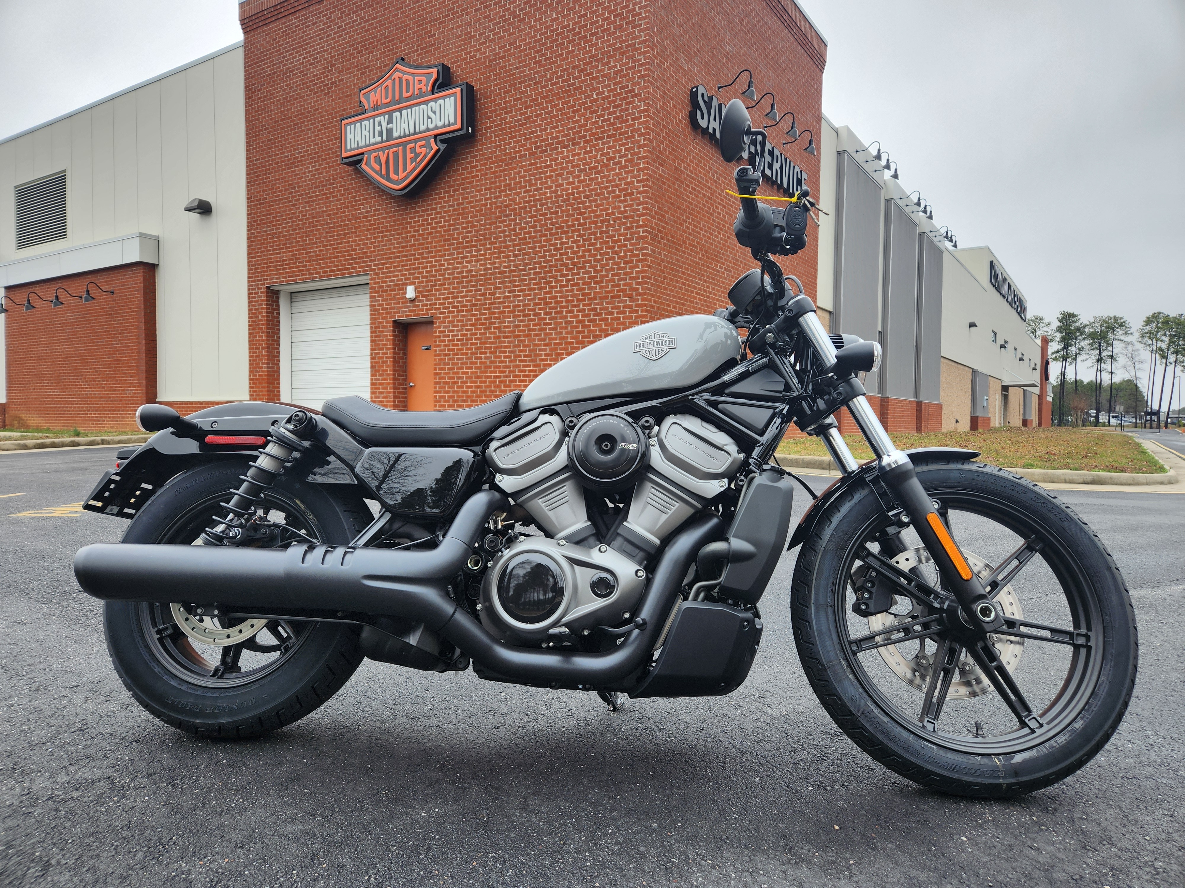 2024 Harley-Davidson Sportster Nightster at Richmond Harley-Davidson