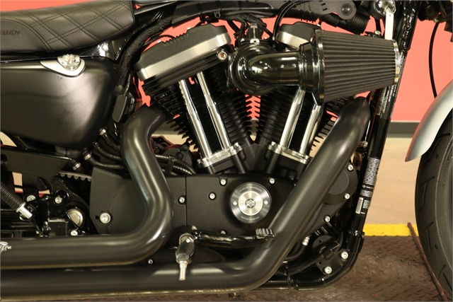 2020 Harley-Davidson Sportster Iron 883 at Texas Harley