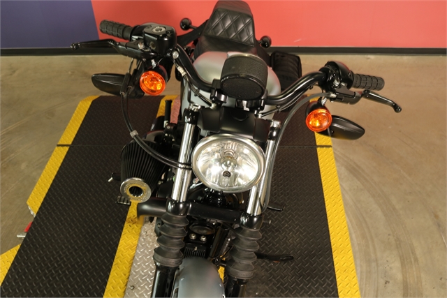 2020 Harley-Davidson Sportster Iron 883 at Texas Harley