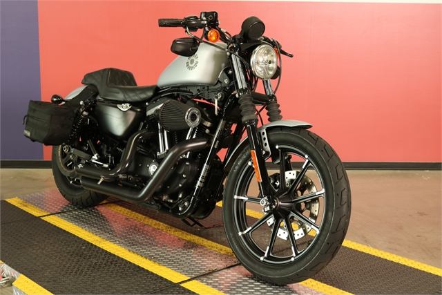 2020 Harley-Davidson Sportster Iron 883 at Texas Harley