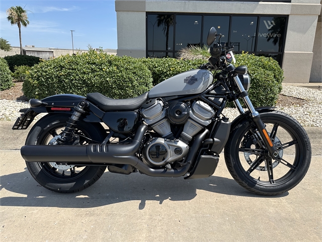 2024 Harley-Davidson Sportster Nightster at Corpus Christi Harley-Davidson