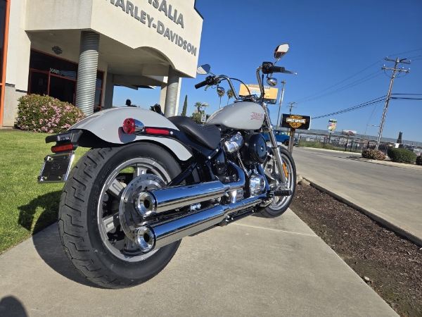 2024 Harley-Davidson Softail Standard at Visalia Harley-Davidson