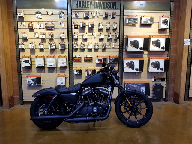 2021 Harley-Davidson Cruiser XL 883N Iron 883 at Legacy Harley-Davidson