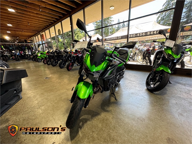 2024 Kawasaki Z500 ABS at Paulson's Motorsports