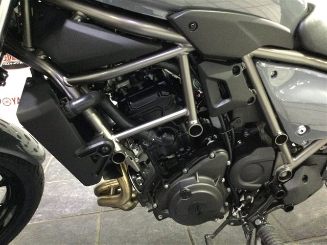 2024 Kawasaki Eliminator Base at Cycle Max