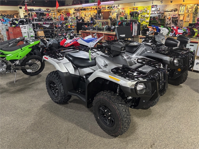 2025 Honda FourTrax Rubicon 700 4x4 Automatic at Dale's Fun Center, Victoria, TX 77904